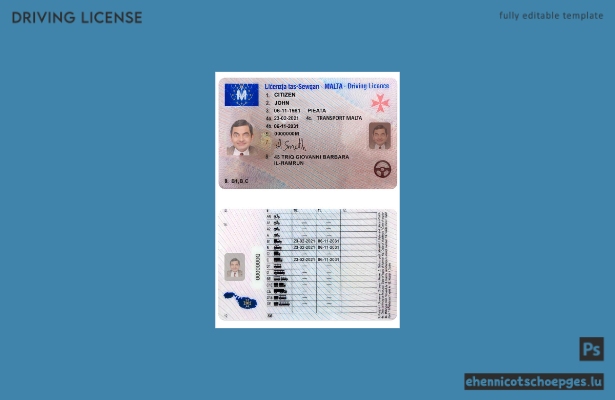 Beispiel für einen maltesischen Führerschein